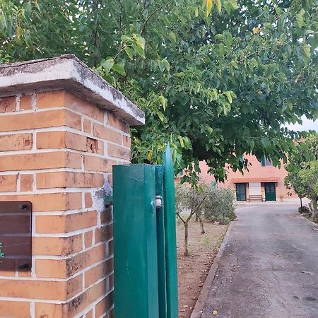 Eco House San Michele Hostel Borgo San Michele  Bagian luar foto