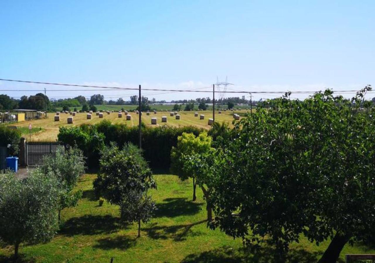 Eco House San Michele Hostel Borgo San Michele  Bagian luar foto