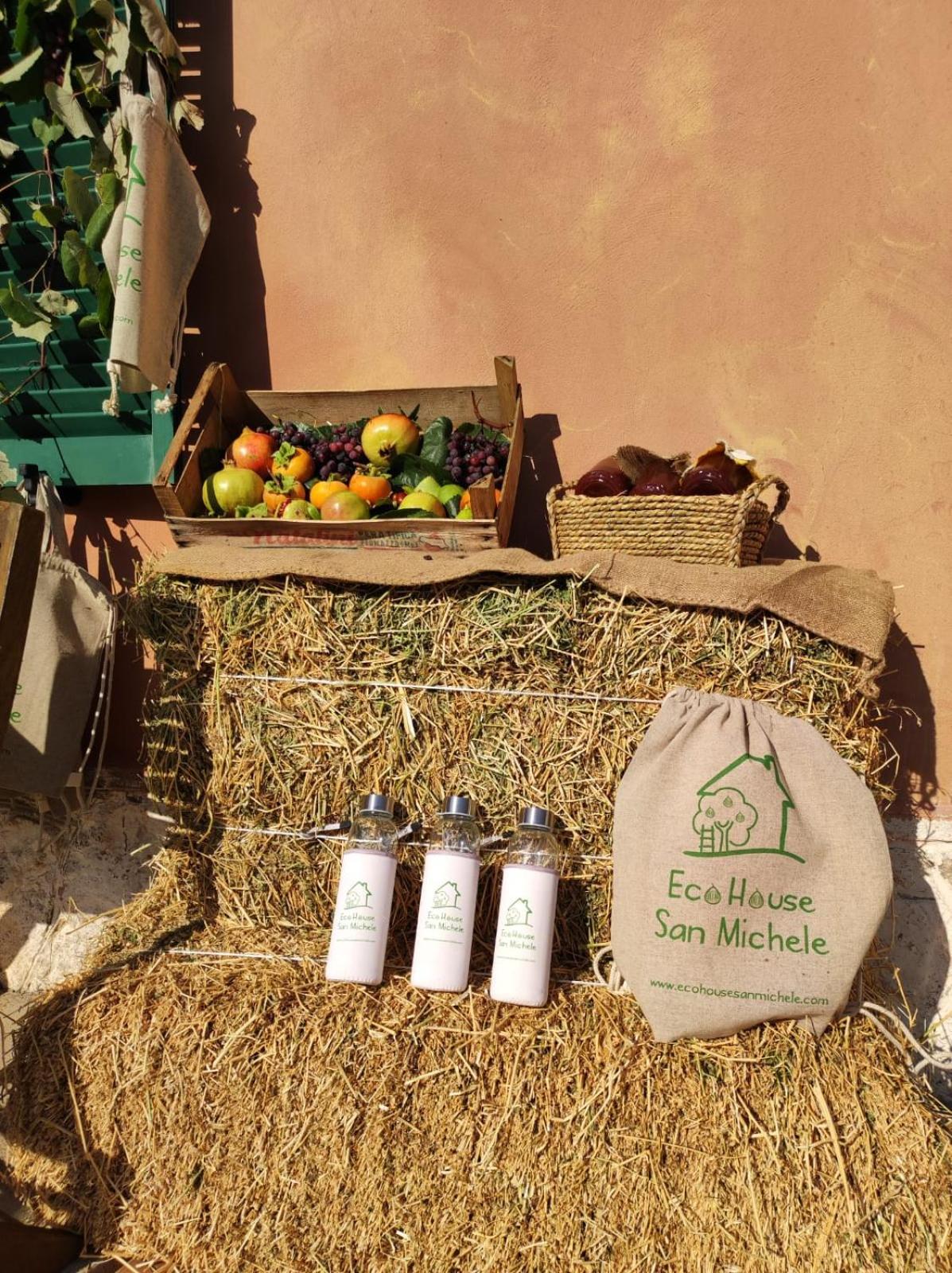Eco House San Michele Hostel Borgo San Michele  Bagian luar foto